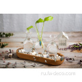 Clear Glass Bud Coined Vase для домашнего декора